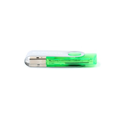 Флэш накопитель USB 4 Гб Exployd 530 (green)