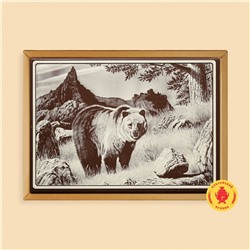 Медведь (600 грамм)