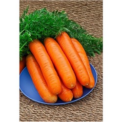 Морковь Нантская  4  (Лента) 8 м