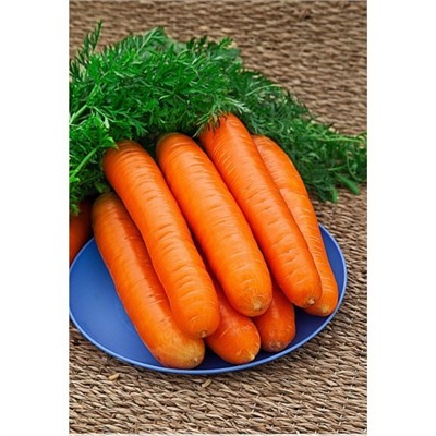 Морковь Нантская 4 (Гранулы) 300 шт