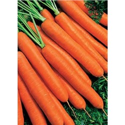 Морковь Без сердцевины (УД) 2гр цв.п.