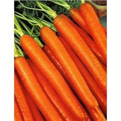 Морковь Колорит F1 (УД) 1,5 гр цв.п.