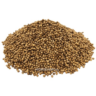 Кориандр в зернах (0,5 кг) Акция