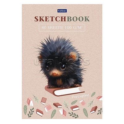 Блокнот SketchBook 40л А5ф "Крошка дикобраз" без линовки 100г/кв.м отрывная склейка