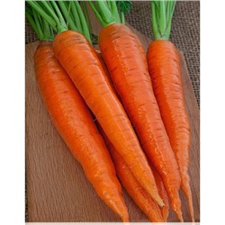 Морковь Канада  F1  0,5 гр цв.п.