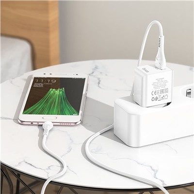 Адаптер Сетевой с кабелем Hoco C98A Proton USB 3A/18W (USB/Micro USB) (white)