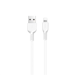 Кабель USB - Apple lightning Hoco X20 Starlight Glare  300см 2,4A  (white)