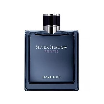 DAVIDOFF SILVER SHADOW PRIVATE edt (m) 100ml TESTER