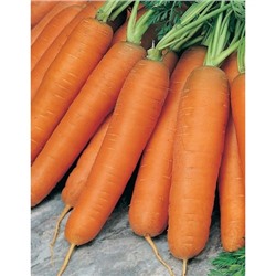 Морковь Балтимор F1 0,3 гр цв.п.