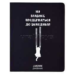 Дневник 1-11 кл. "Главное продержаться до выходных" универсальный блок, 48 листов, белая бумага 80 г/м², печать в 1 краску, гибкая обложка из искусственной кожи, шелкография, отстрочка, 1 ляссе