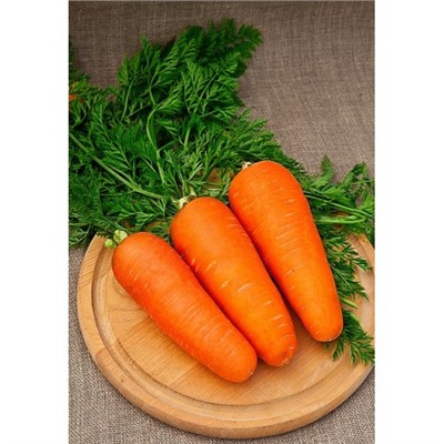 Морковь Королева осени 10 гр цв.п (Сортсемовощ)
