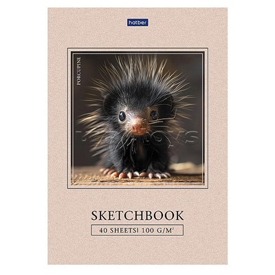 Блокнот SketchBook 40л А5ф "Крошка дикобраз" без линовки 100г/кв.м отрывная склейка