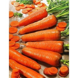 Морковь Оранжевая медовая (УД) 1,5 гр цв.п.