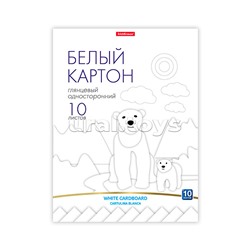 Картон белый глянцевый на клею А4, 10 листов