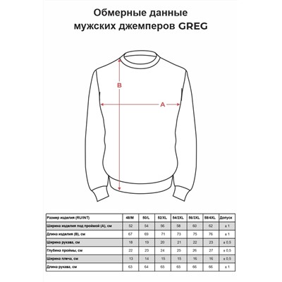 Джемпер мужской GREG G124-DA60 серый/черный