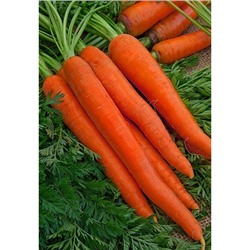 Морковь Витаминная 6 2 гр цв.п (Био-старт)