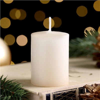 Свеча ароматическая новогодняя "Сказочного Нового года", 4×6 см, имбмирное печенье,в коробке