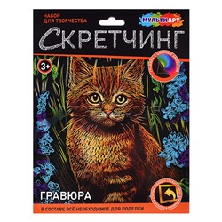 Скретчинг гравюра 18*24см "Котик в цветах"