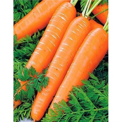 Морковь Гиганто Росса (УД) 2гр цв.п.