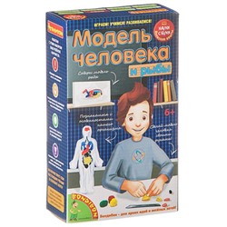 Японские опыты Науки с Буки BONDIBON, Модель человека,  арт. 196408