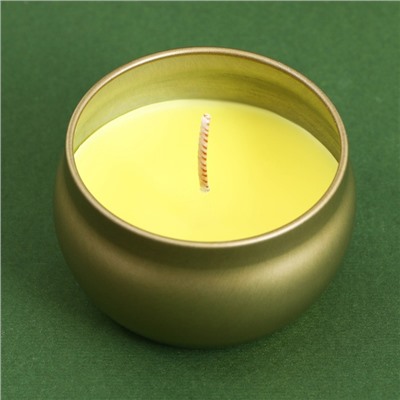 Новогодняя свеча в железной банке «С Новым годом», аромат ваниль, диам. 6 см