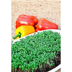 Микрозелень кресс-салат Данский 10 гр цв.п.