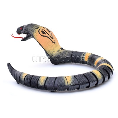 Змея радиоуправляемая "Королевская кобра" в коробке