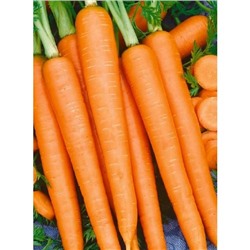 Морковь Нандрин F1 (УД) 150 шт цв.п.