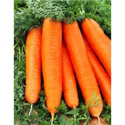 Морковь Дарина цв.п. 2гр