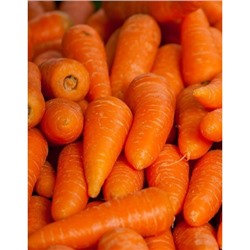 Морковь Шантанэ 2461 10 гр цв.п (Сортсемовощ)