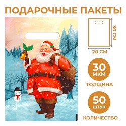 Набор пакетов "Звуки праздника", с вырубной ручкой по 50 шт, 20х30 см, 30 мкм