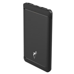 Внешний аккумулятор SKYDOLPHIN SP22 10 000mAh Micro/USB2 (black)