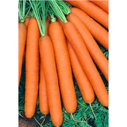 Морковь Нантская сахарная (УД) 2 гр цв.п.