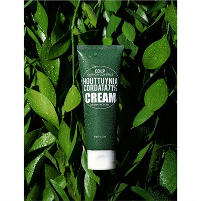 Derma Factory Крем увлажняющий для лица с экстрактом хауттюйнии - Houttuynia cordata 71% cream, 60г