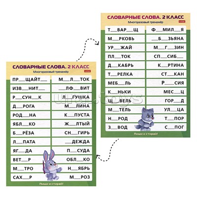 Наглядные пособия для детей. Многоразовый тренажер "Пиши и стирай". Словарные слова 2 класс.